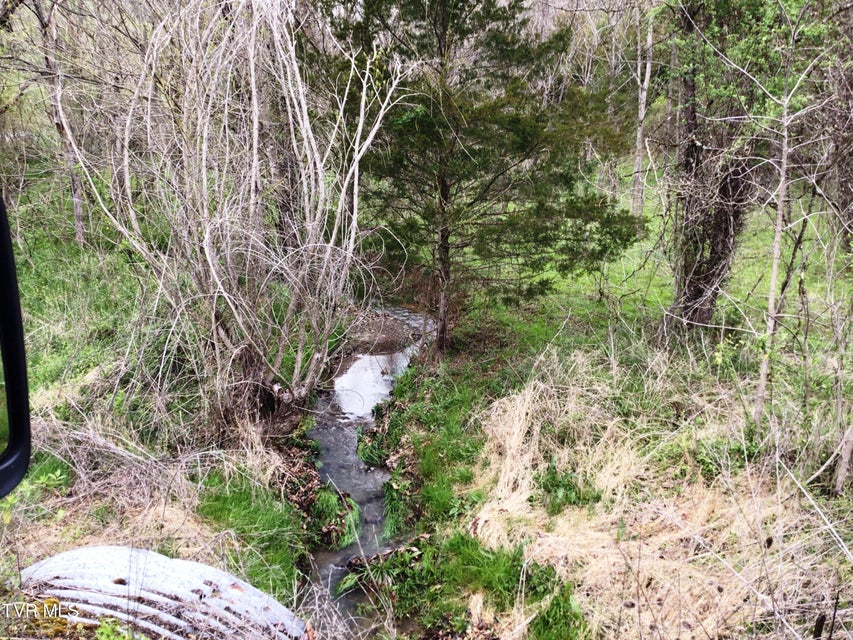 Photo #15: 0000 Roaring Fork Road