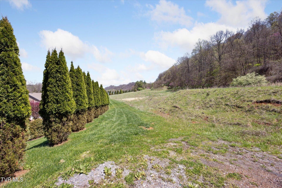 Photo #21: Tbd Wallace Meadows Way