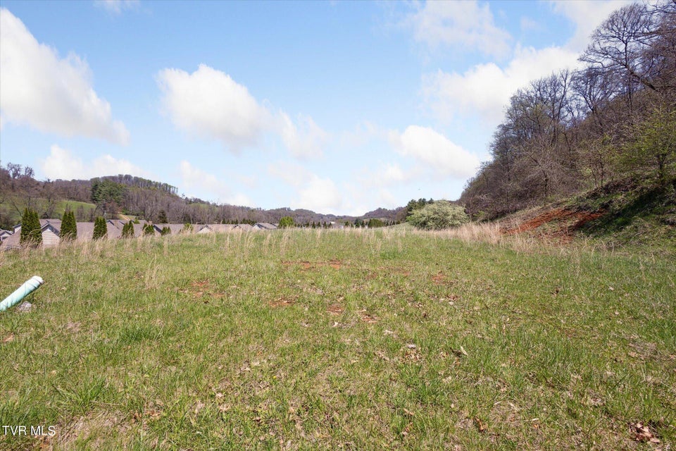 Photo #22: Tbd Wallace Meadows Way