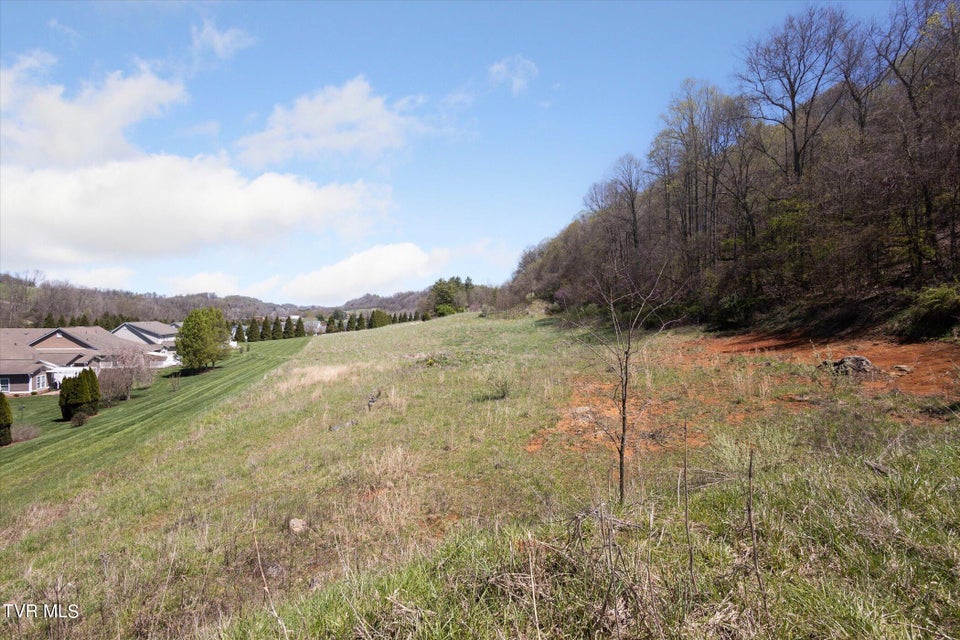 Photo #23: Tbd Wallace Meadows Way