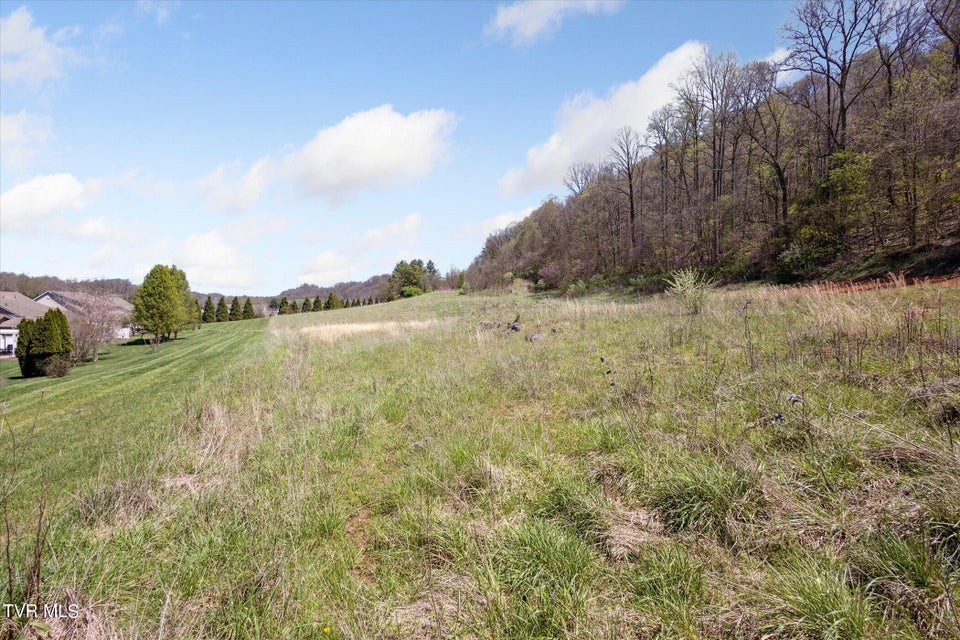 Photo #25: Tbd Wallace Meadows Way