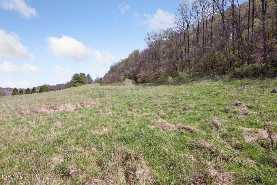 Photo #27: Tbd Wallace Meadows Way