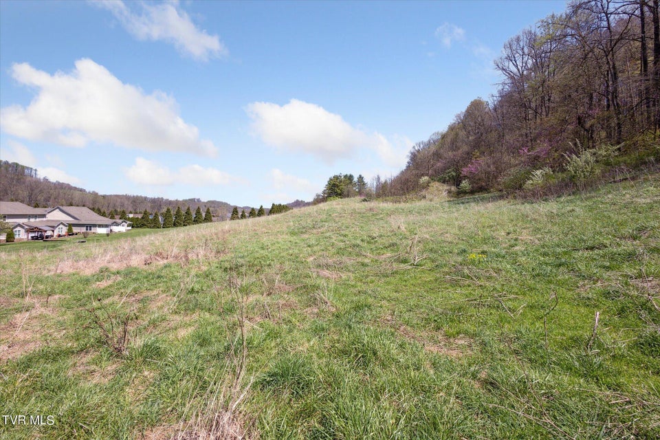Photo #29: Tbd Wallace Meadows Way