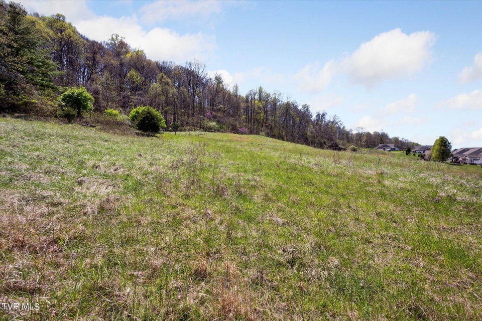 Photo #30: Tbd Wallace Meadows Way