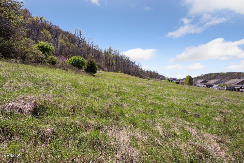 Photo #31: Tbd Wallace Meadows Way