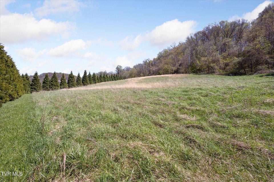 Photo #32: Tbd Wallace Meadows Way