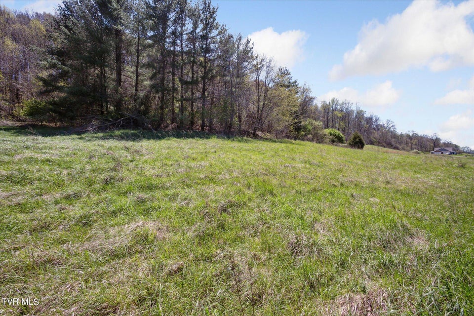 Photo #33: Tbd Wallace Meadows Way