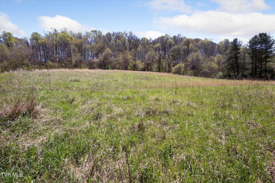 Photo #34: Tbd Wallace Meadows Way