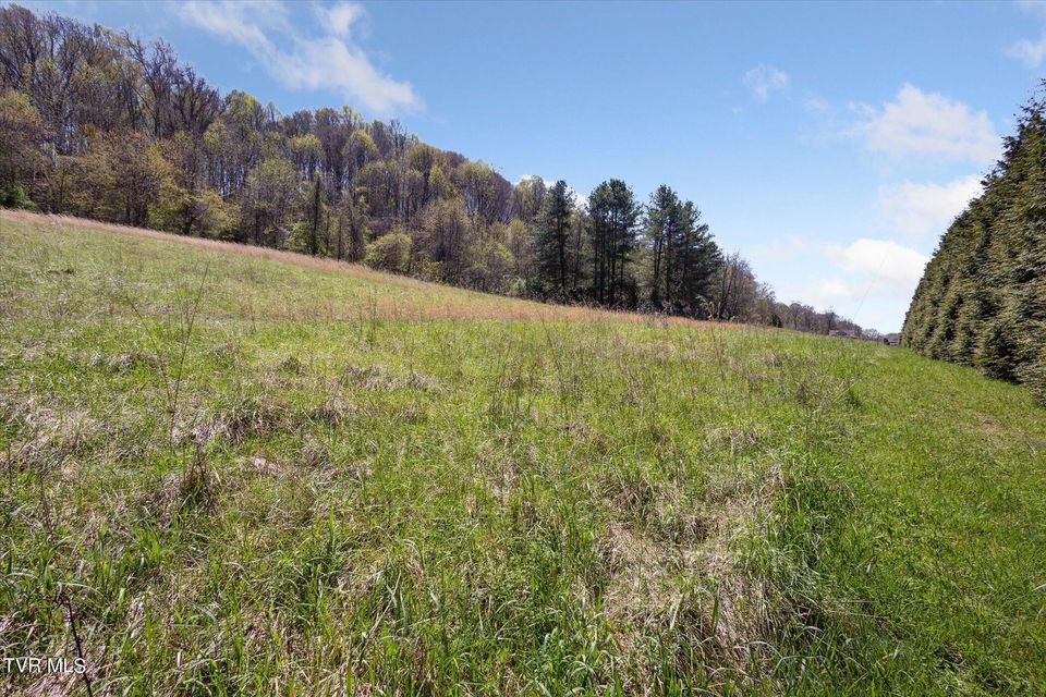 Photo #35: Tbd Wallace Meadows Way