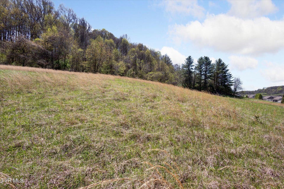 Photo #36: Tbd Wallace Meadows Way