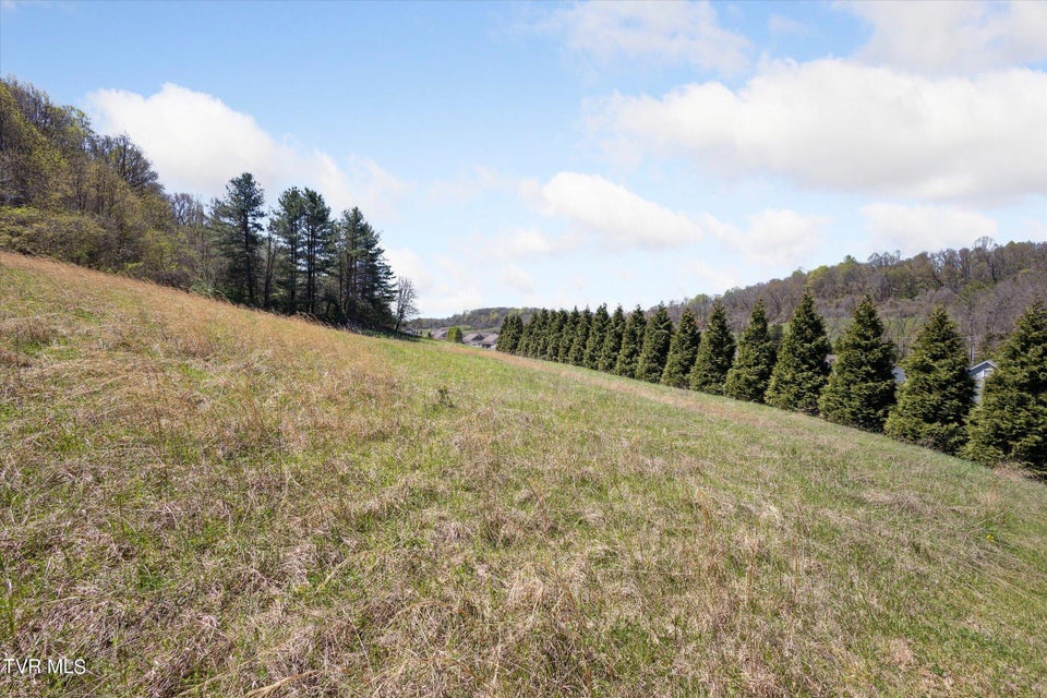 Photo #37: Tbd Wallace Meadows Way