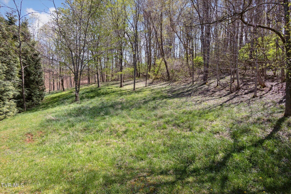 Photo #38: Tbd Wallace Meadows Way