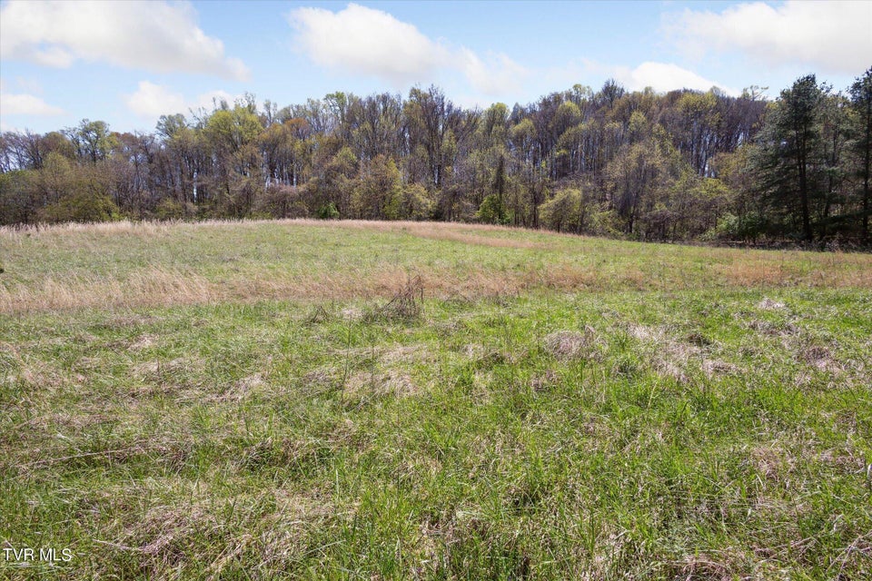 Photo #40: Tbd Wallace Meadows Way