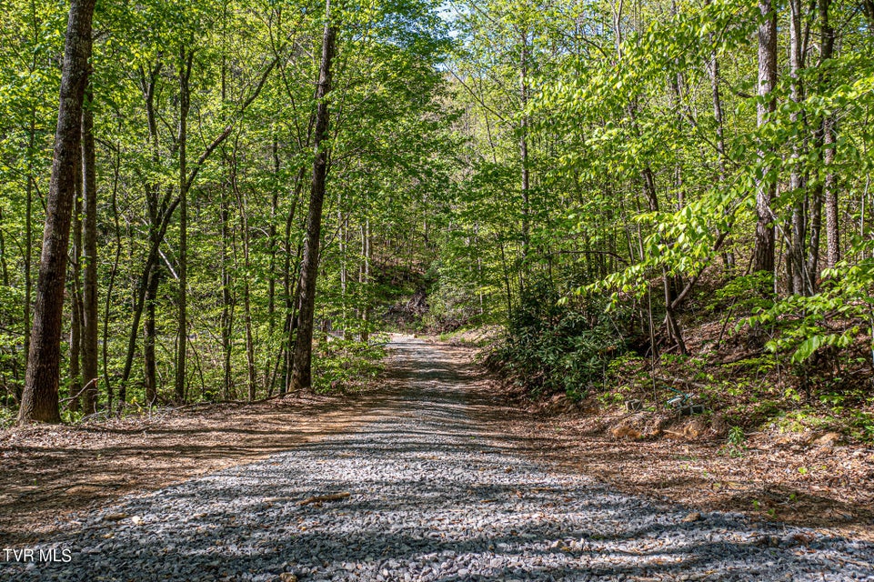 Photo #5: Tbd Seay Hollow Road