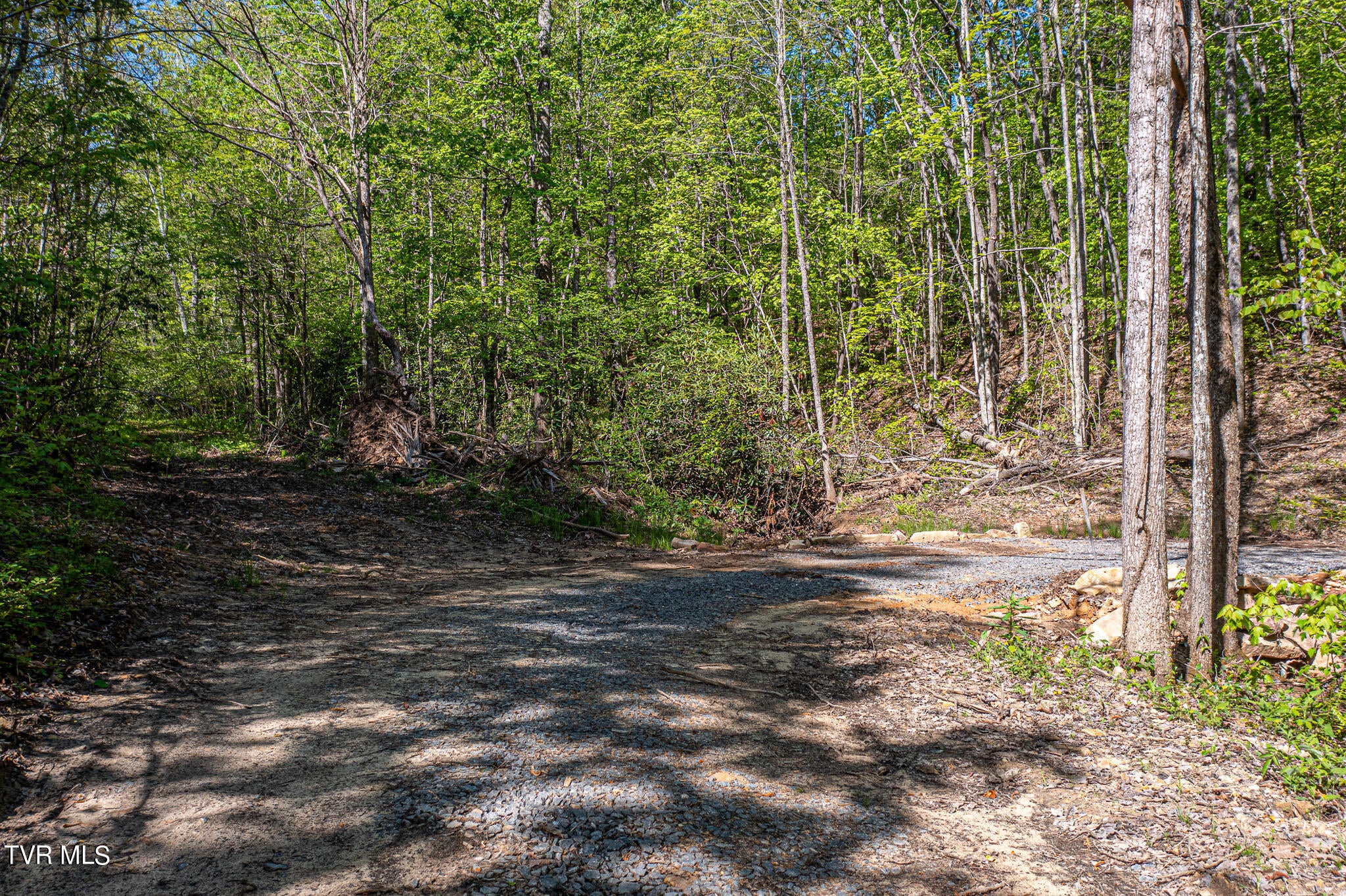 Photo #6: Tbd Seay Hollow Road
