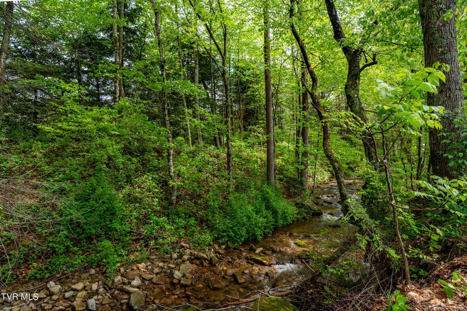 Photo #44: 1867 Gentry Creek Road