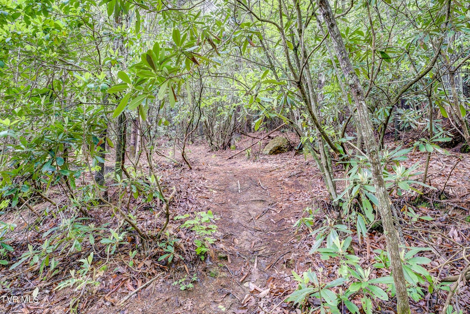 Photo #34: 5610 Sink Valley Road