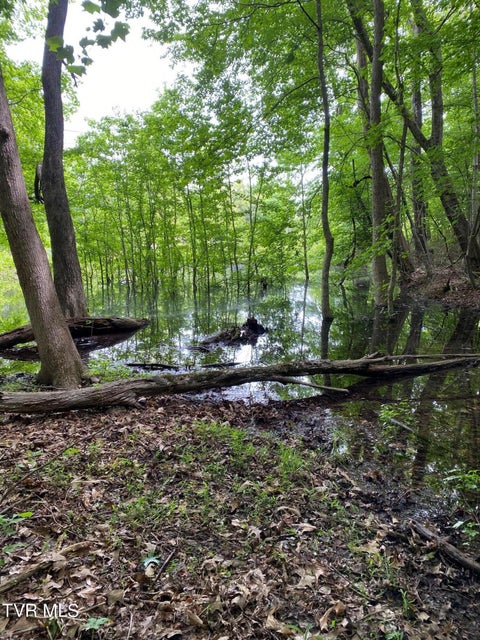 Photo #10: 000 Waterfork South Road