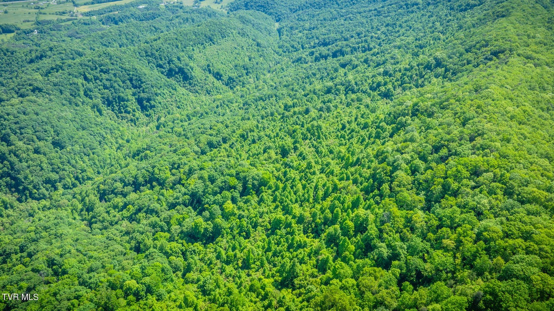 Photo #15: Lot 1 Caney Creek Lane