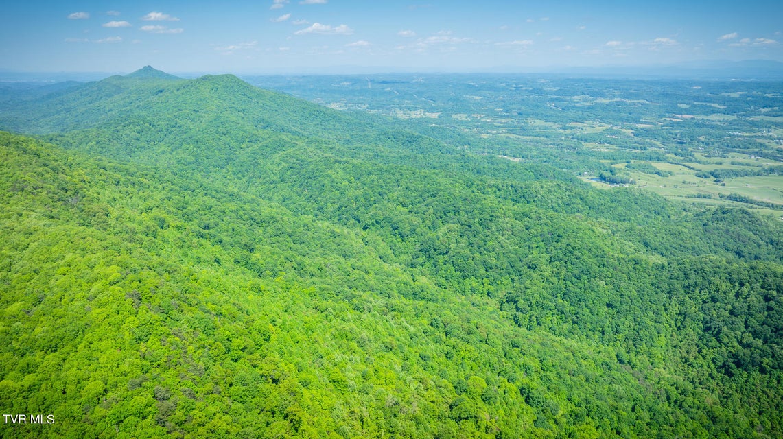 Photo #22: Lot 1 Caney Creek Lane