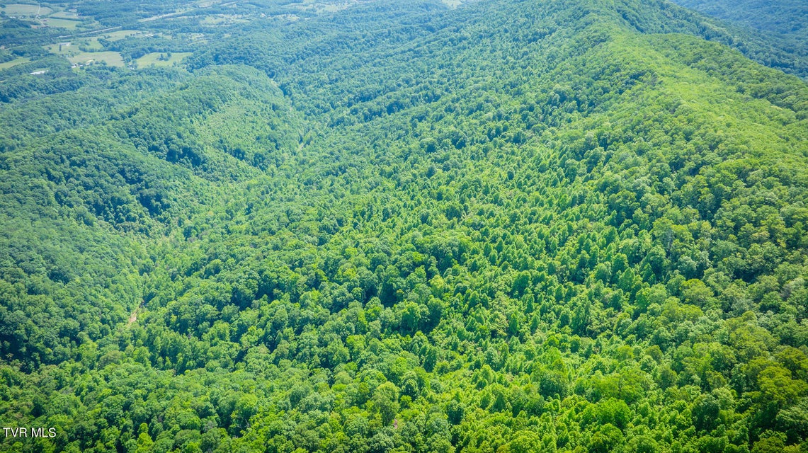 Photo #16: Lot 1 Caney Creek Lane