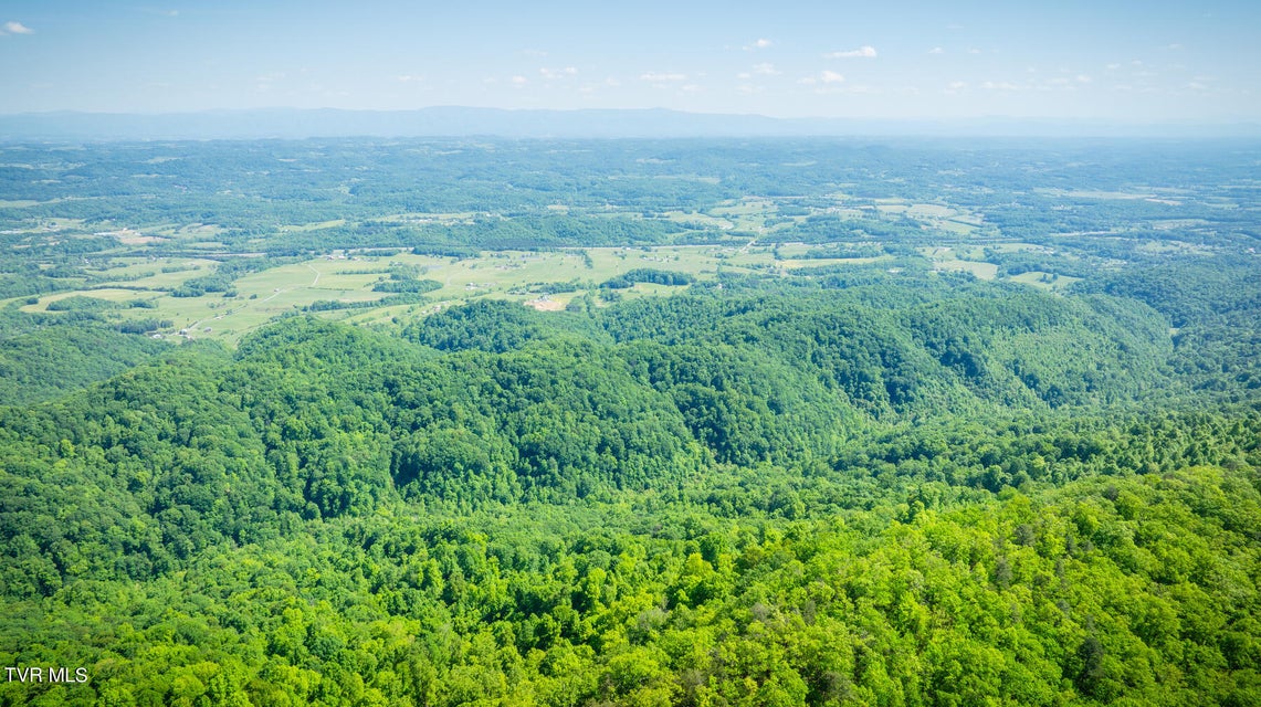 Photo #29: Lot 1 Caney Creek Lane