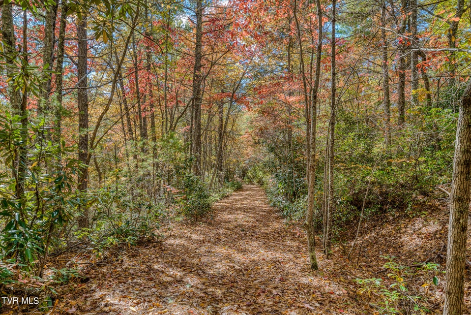 Photo #22: Lot 15 Sunset Ridge Road