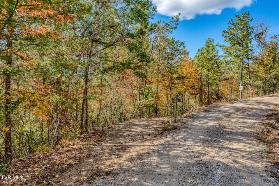 Photo #21: Lot 15 Sunset Ridge Road