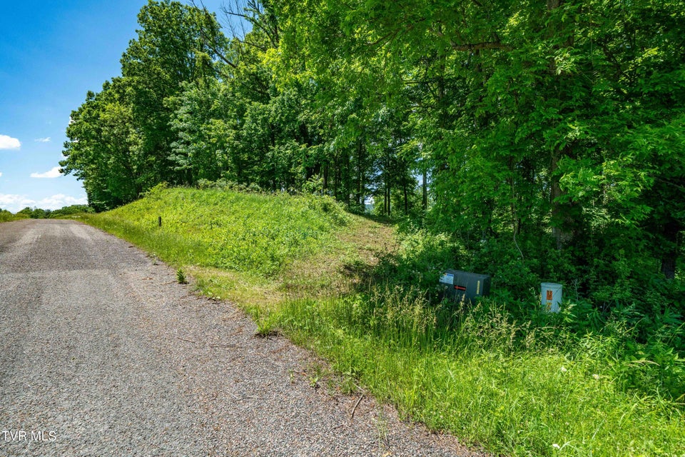Photo #2: 000 Lot #43 - Watauga Ridge Road