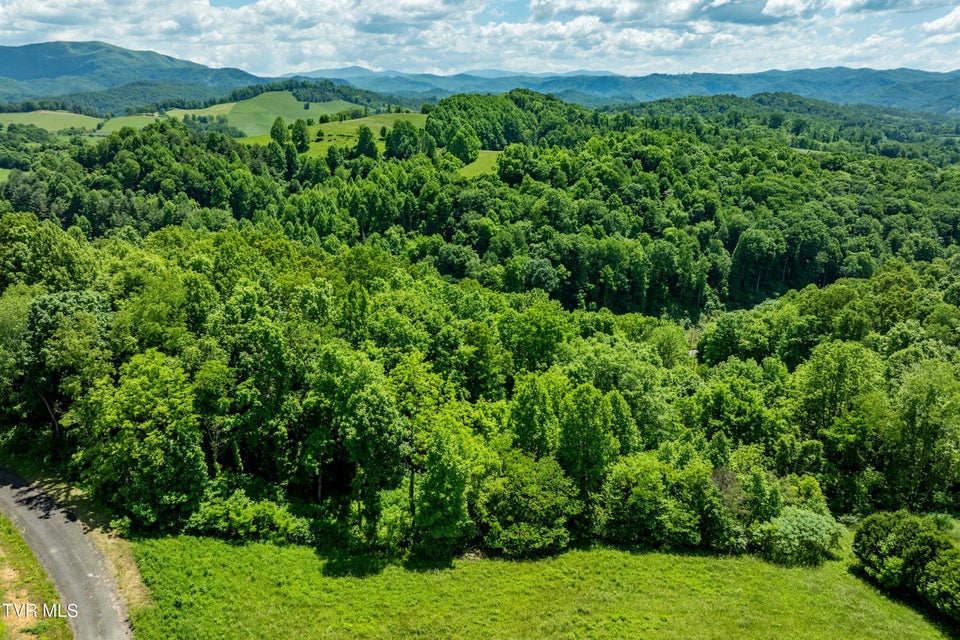 Photo #38: Lot #49 Redbud Circle 