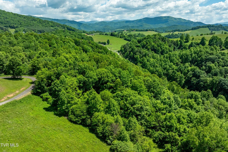 Photo #39: Lot #49 Redbud Circle 