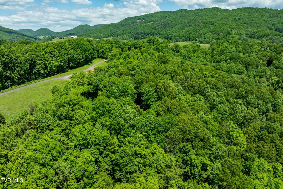 Photo #41: Lot #49 Redbud Circle 