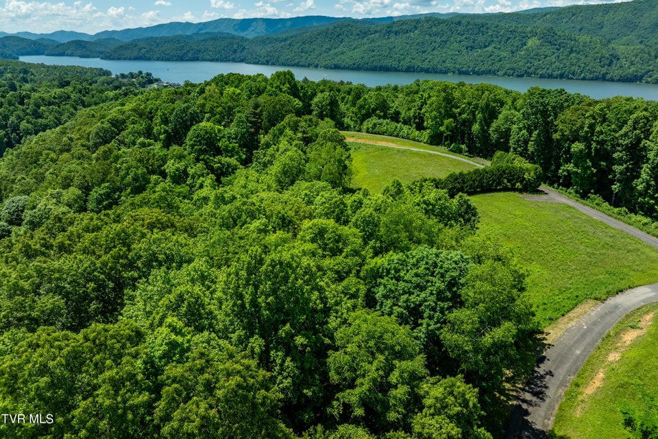 Photo #42: Lot #49 Redbud Circle 