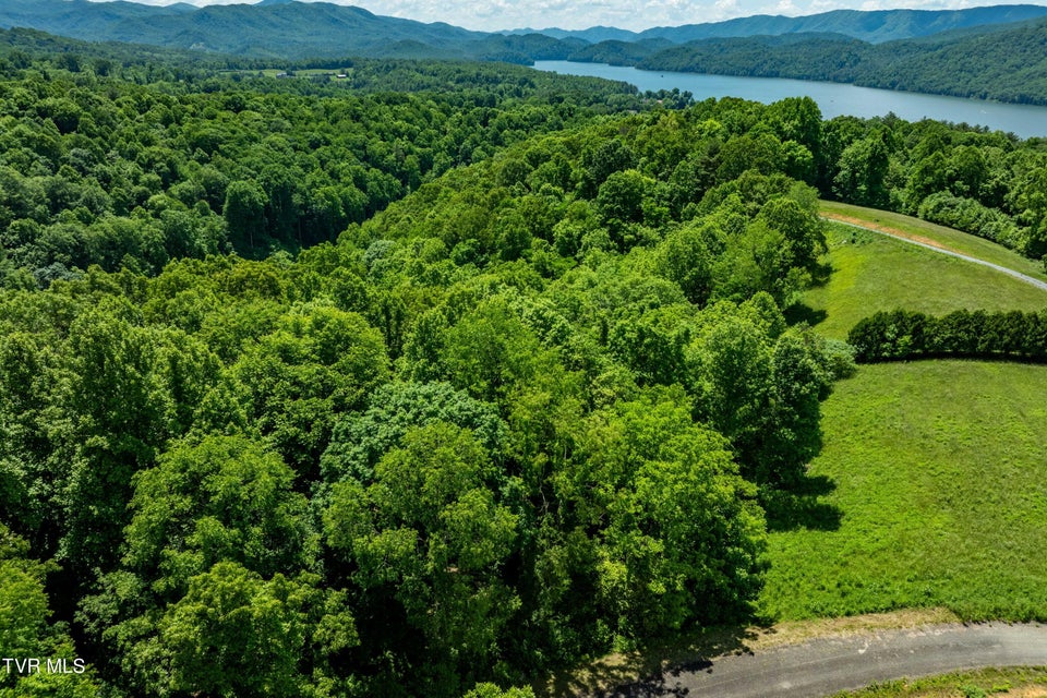 Photo #43: Lot #49 Redbud Circle 