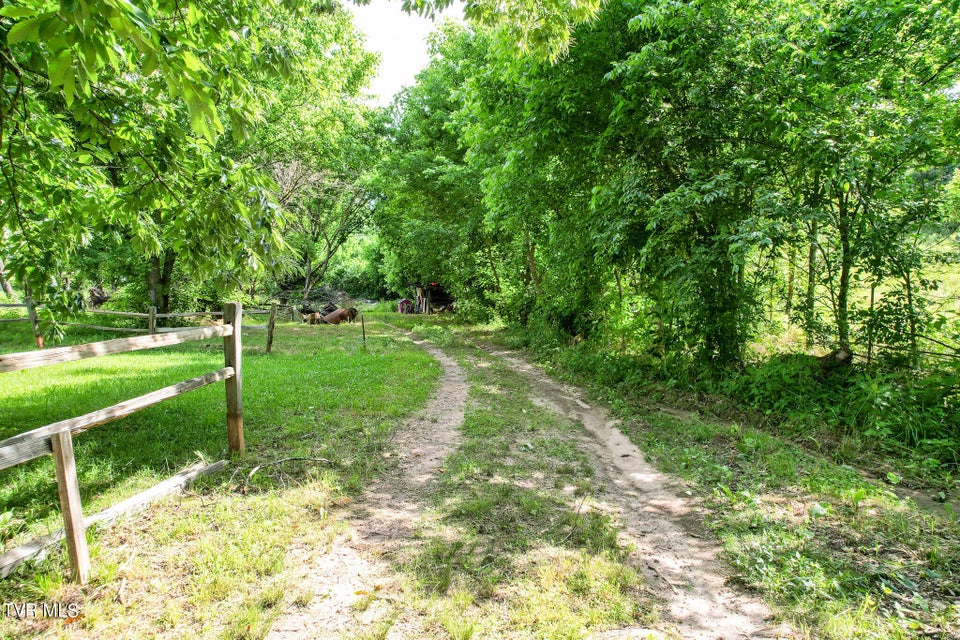 Photo #2: Lot 20 Middle Creek Road