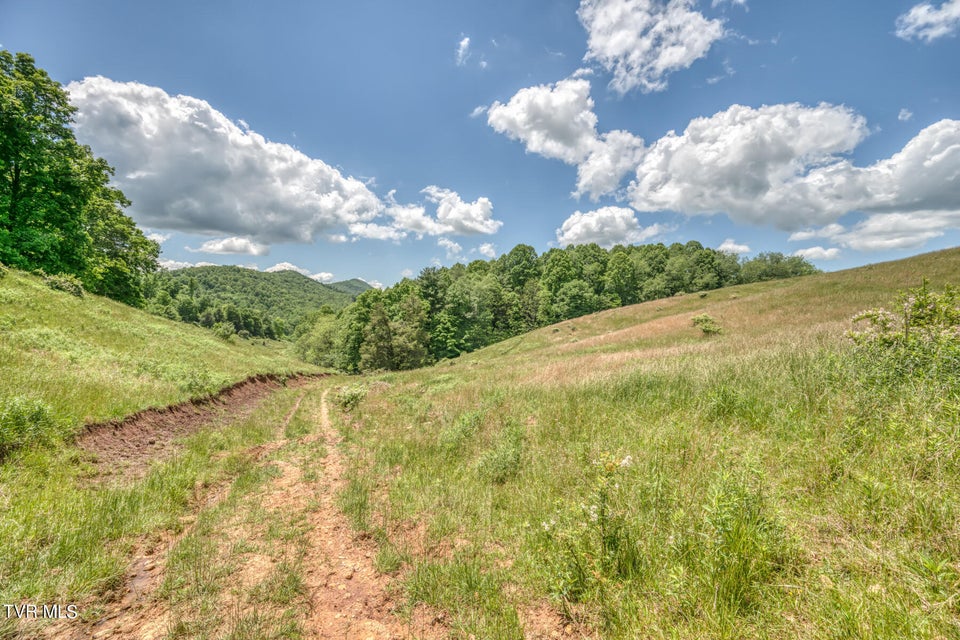 Photo #13: 937 Big Dry Run Road