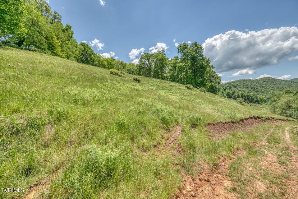 Photo #14: 937 Big Dry Run Road