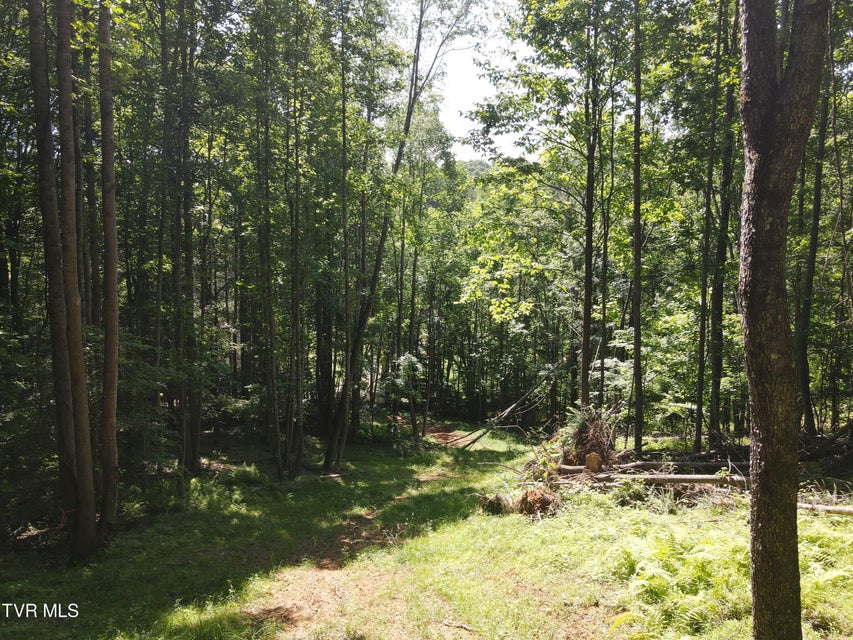 Photo #5: Tbd Whispering Pines Rd 