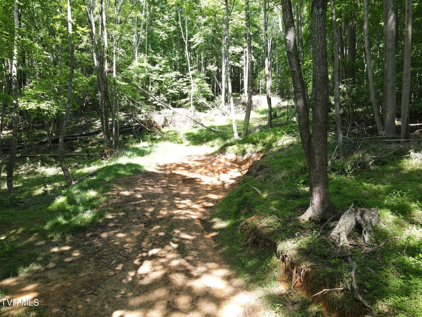 Photo #10: Tbd Whispering Pines Rd 