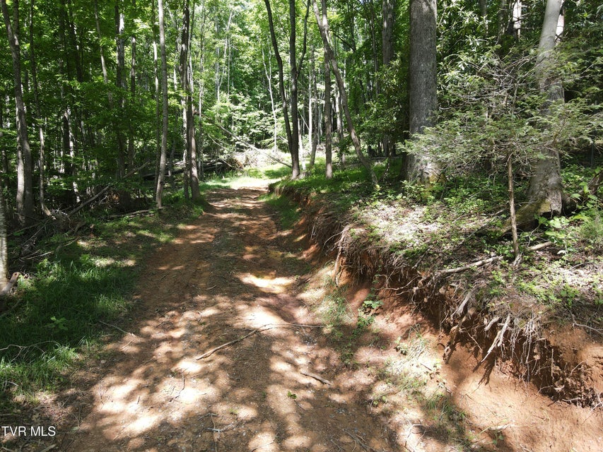 Photo #11: Tbd Whispering Pines Rd 