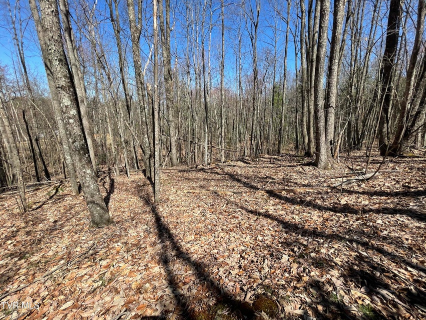 Photo #2: 9.62 Acres Lightnen Road