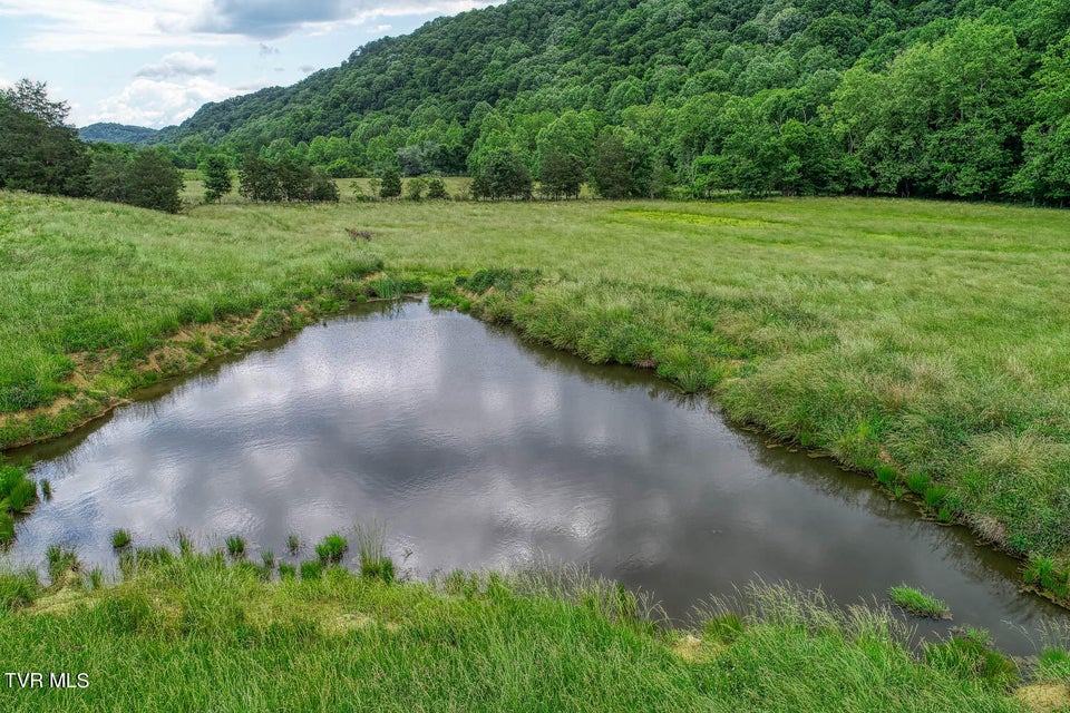 Photo #39: 5570 Gap Creek Road