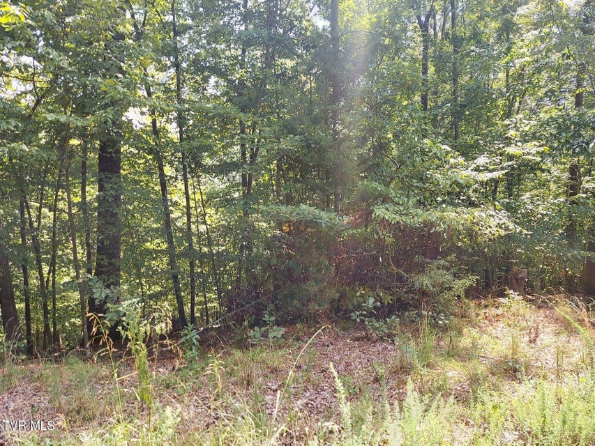 Photo #55: 3.57 Acres Tyler Court & Stoneway Place