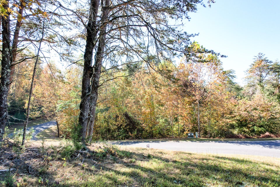 Photo #20: Lot 13 Cove Springs Drive