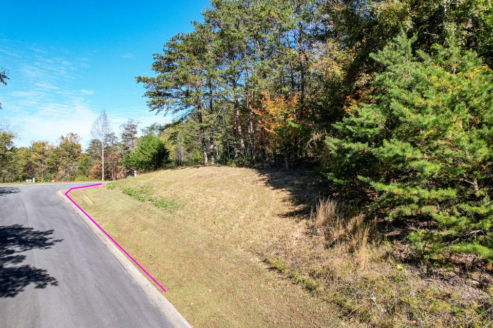 Photo #27: Lot 13 Cove Springs Drive