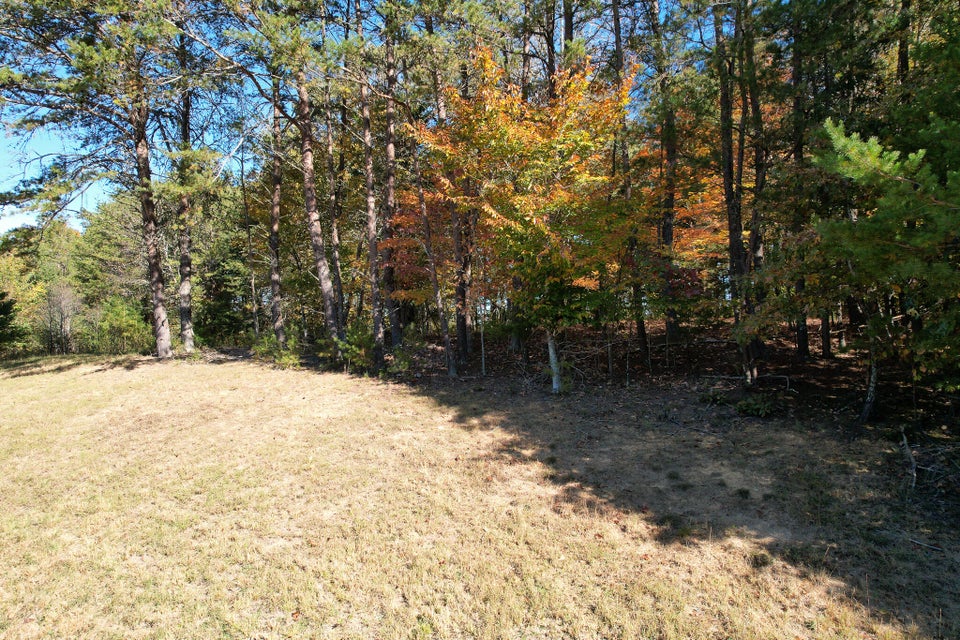 Photo #28: Lot 13 Cove Springs Drive