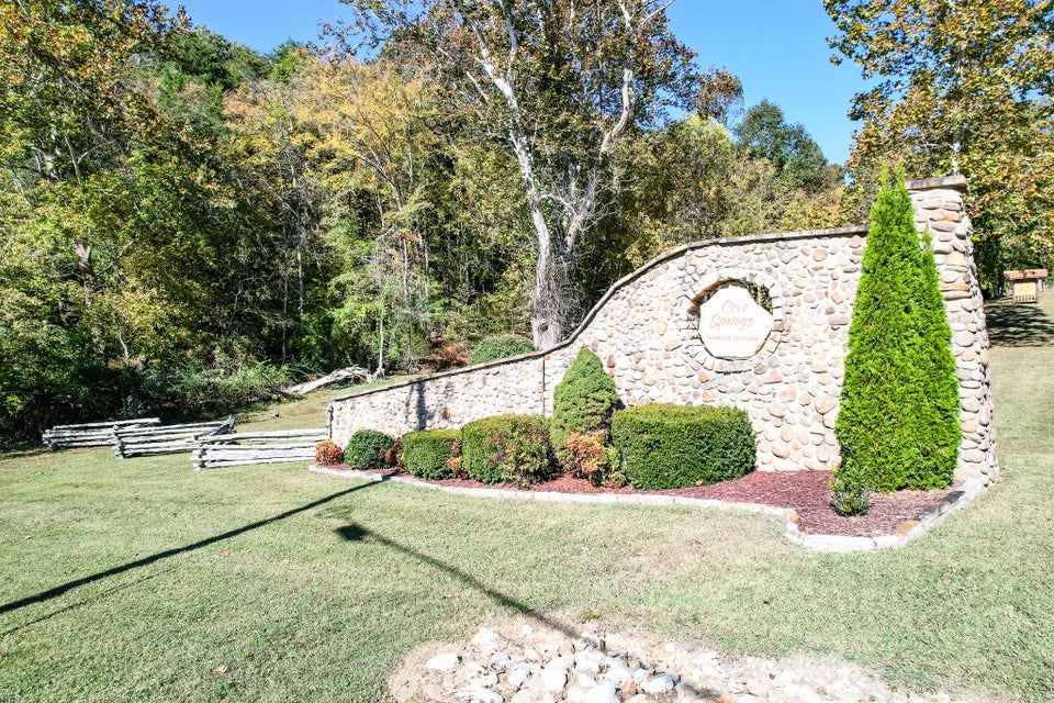 Photo #47: Lot 13 Cove Springs Drive