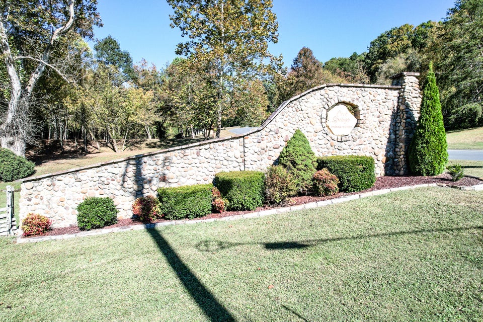 Photo #48: Lot 13 Cove Springs Drive