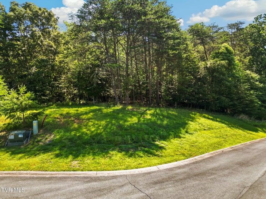 Photo #13: Lot 13 Cove Springs Drive