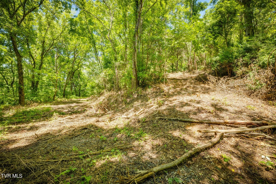 Photo #8: Lot 4 Cherry Hill Rd Off Road